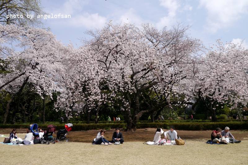 P1220783.JPG P1220783.JPG