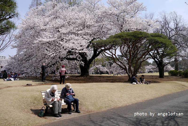 P1220816.JPG P1220816.JPG