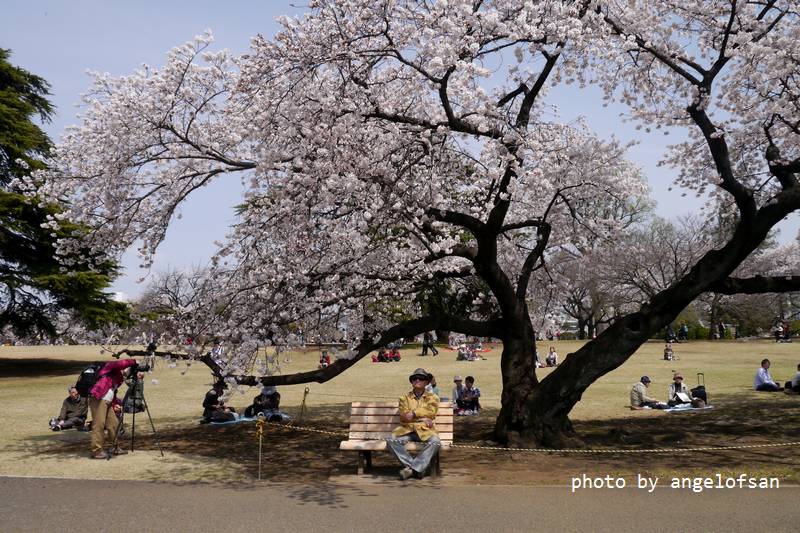 P1220837.JPG P1220837.JPG