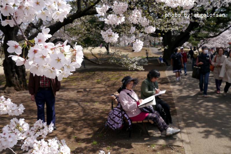 P1220852.JPG P1220852.JPG