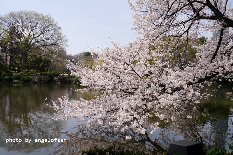 P1220857.JPG P1220857.JPG