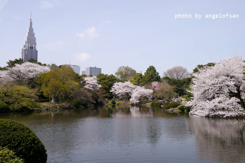 P1220872.JPG P1220872.JPG