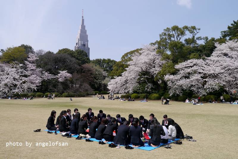 P1220891.JPG P1220891.JPG