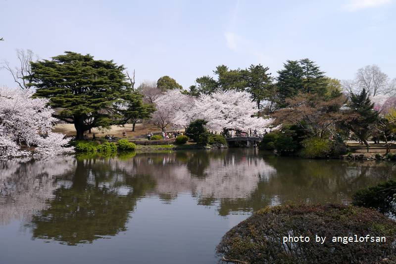 P1220883.JPG P1220883.JPG