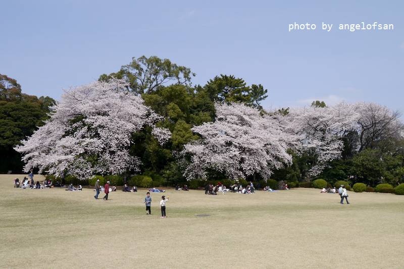 P1220895.JPG P1220895.JPG