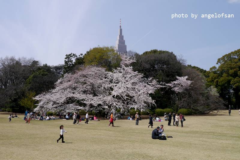 P1220893.JPG P1220893.JPG