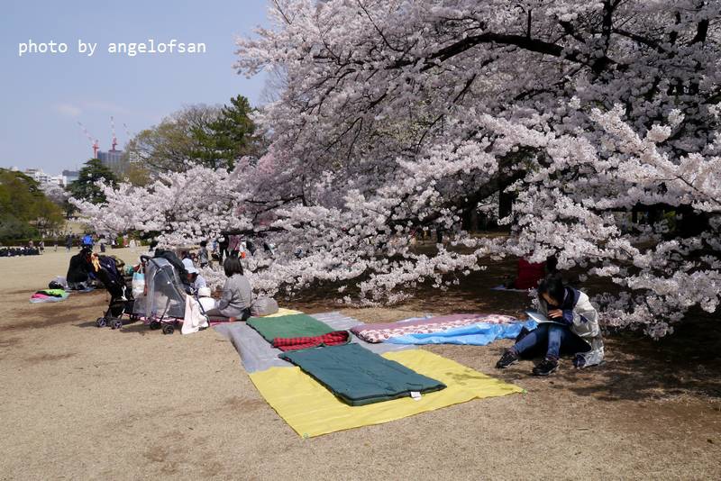 P1220904.JPG P1220904.JPG