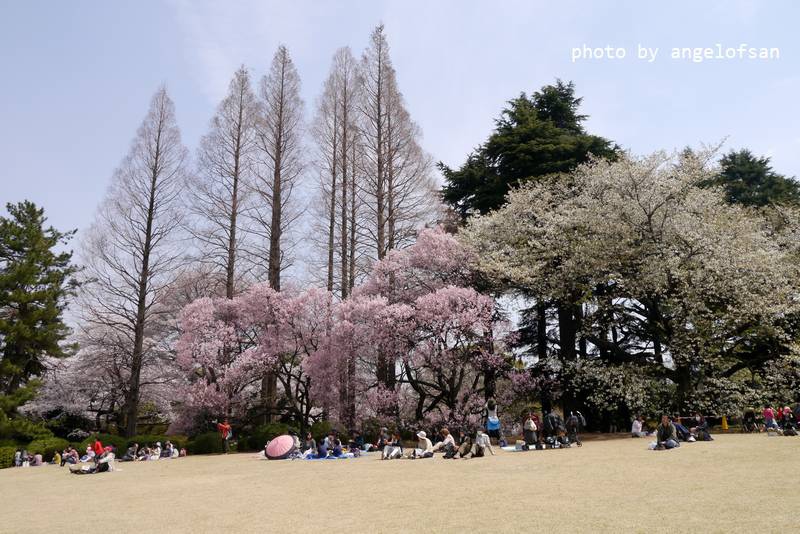 P1220896.JPG P1220896.JPG