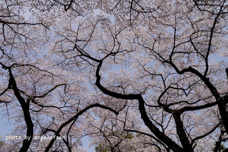 P1220931.JPG P1220931.JPG