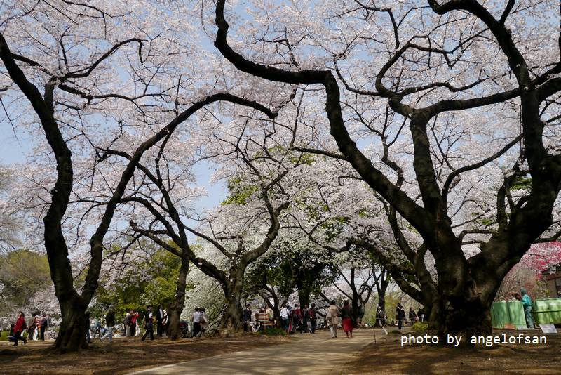 P1220932.JPG P1220932.JPG