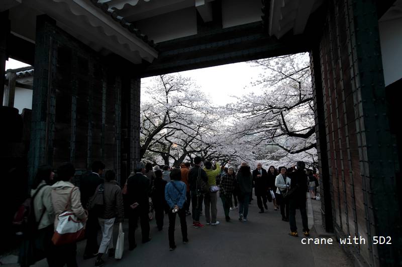 IMG_8311.JPG IMG_8311.JPG