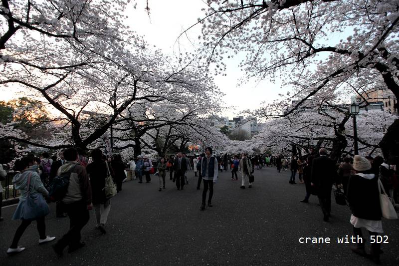 IMG_8308.JPG IMG_8308.JPG