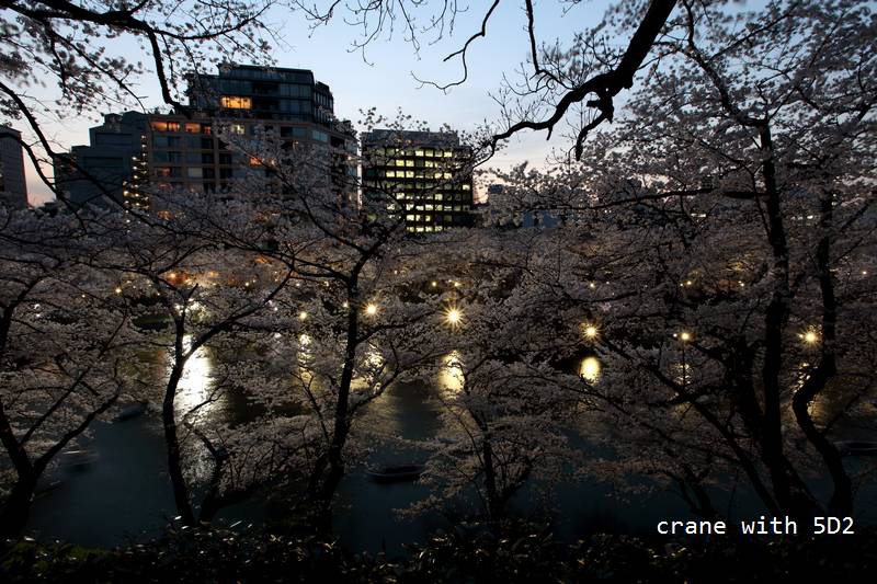 IMG_8329.JPG IMG_8329.JPG