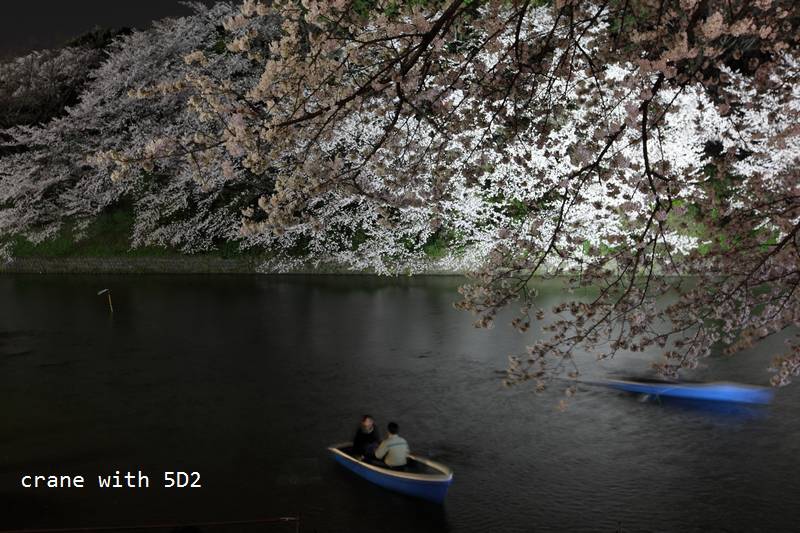 IMG_8368.JPG IMG_8368.JPG