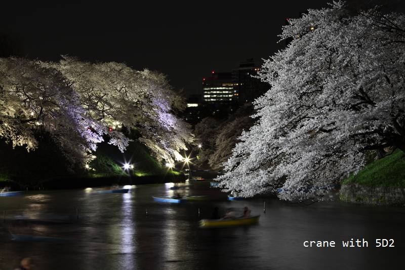 IMG_8372.JPG IMG_8372.JPG