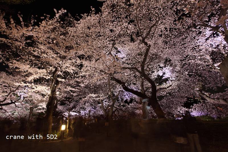 IMG_8359.JPG IMG_8359.JPG