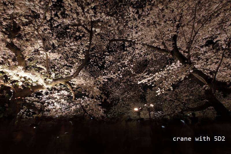 IMG_8388.JPG IMG_8388.JPG