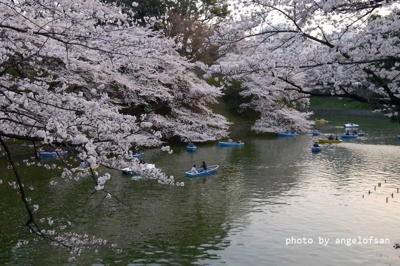 P1220978.JPG P1220978.JPG