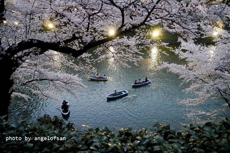 P1230019.JPG P1230019.JPG