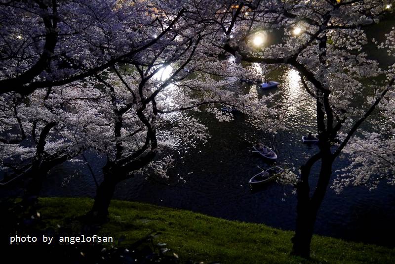 P1230029.JPG P1230029.JPG