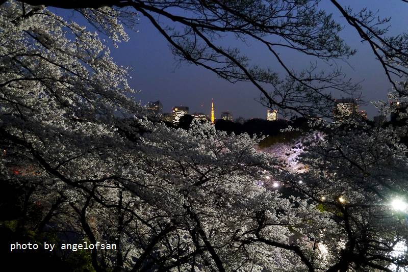 P1230033.JPG P1230033.JPG