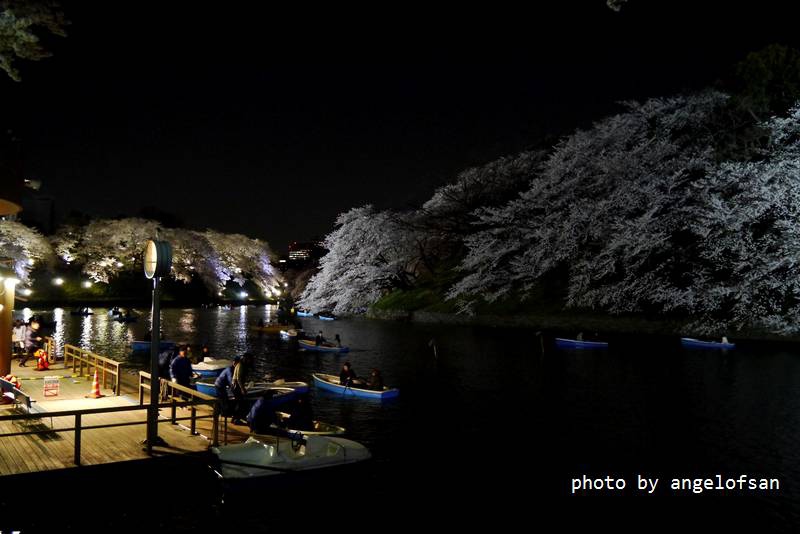 P1230056.JPG P1230056.JPG