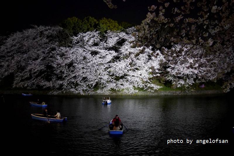 P1230057.JPG P1230057.JPG