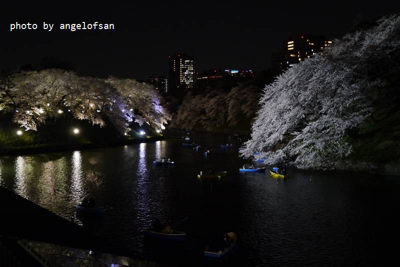 P1230062.JPG P1230062.JPG