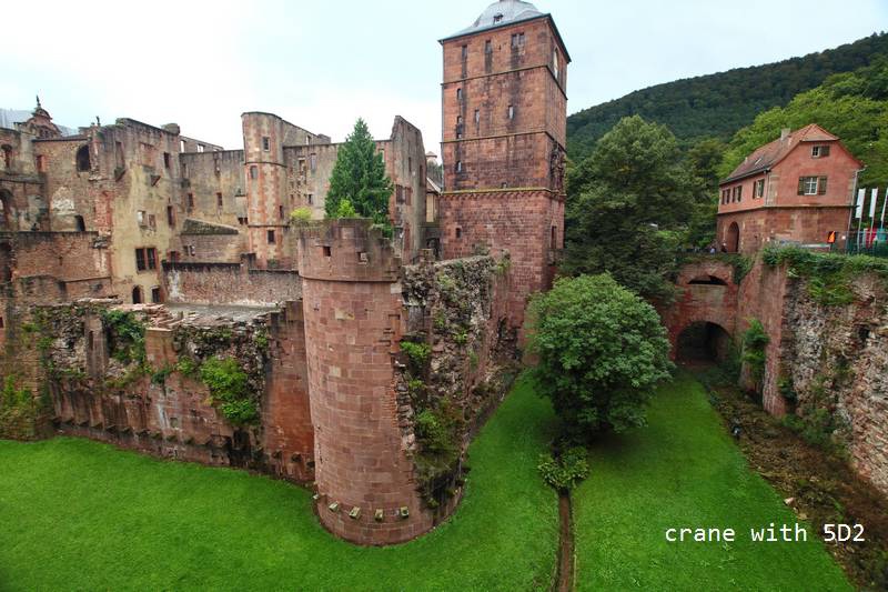 IMG_4220.JPG IMG_4220.JPG