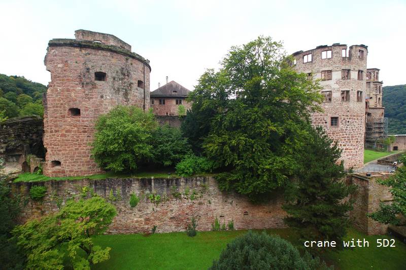 IMG_4231.JPG IMG_4231.JPG