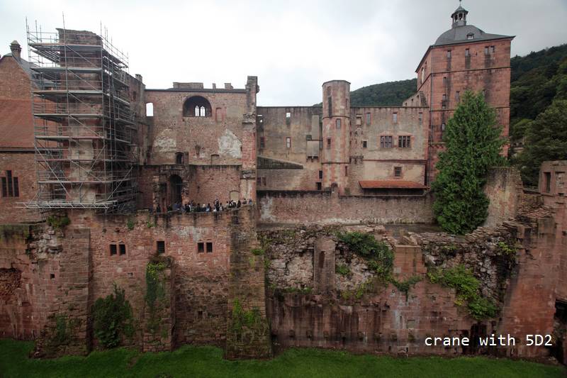 IMG_4217.JPG IMG_4217.JPG