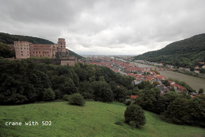 IMG_4246.JPG IMG_4246.JPG