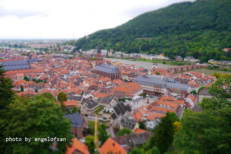 P1150692.JPG P1150692.JPG