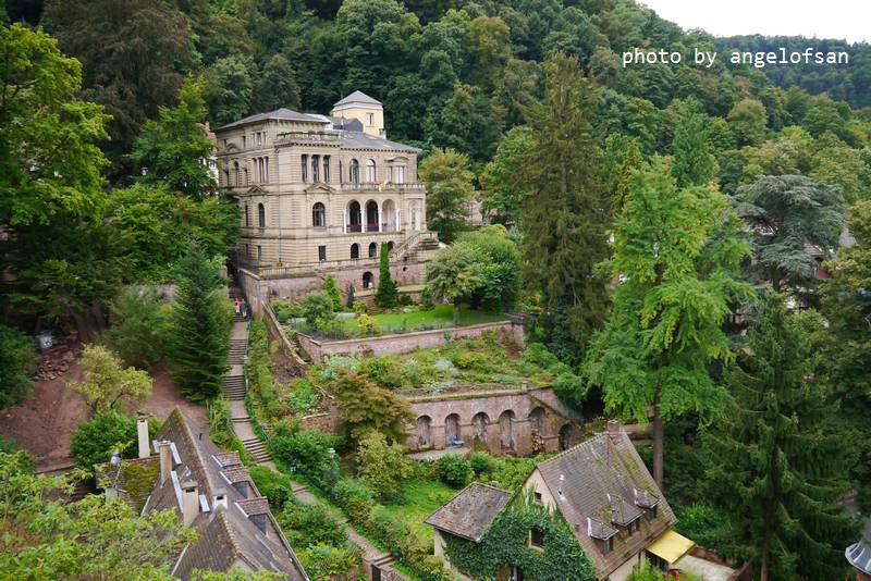 P1150694.JPG P1150694.JPG