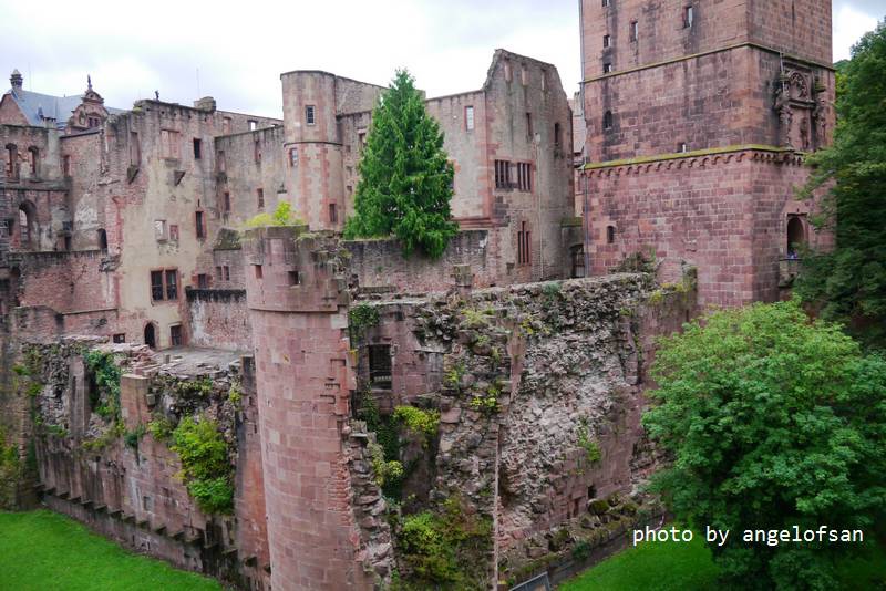 P1150702.JPG P1150702.JPG