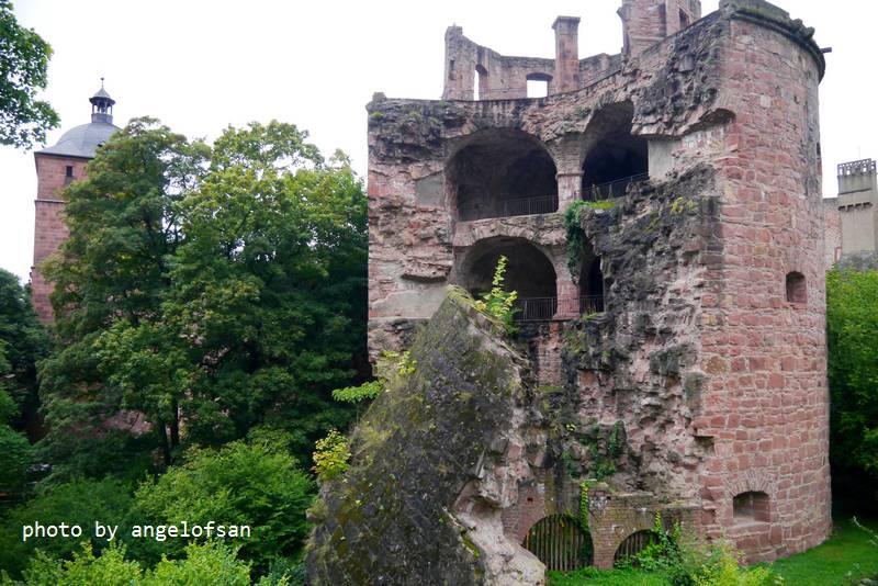 P1150710.JPG P1150710.JPG