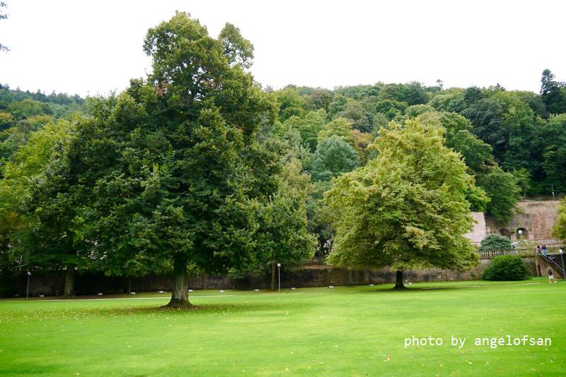 P1150719.JPG P1150719.JPG