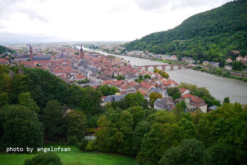 P1150731.JPG P1150731.JPG