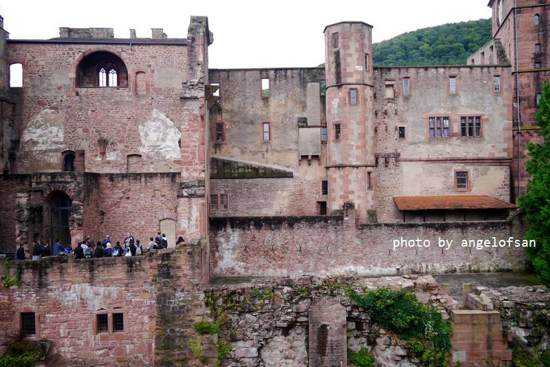 P1150696.JPG P1150696.JPG