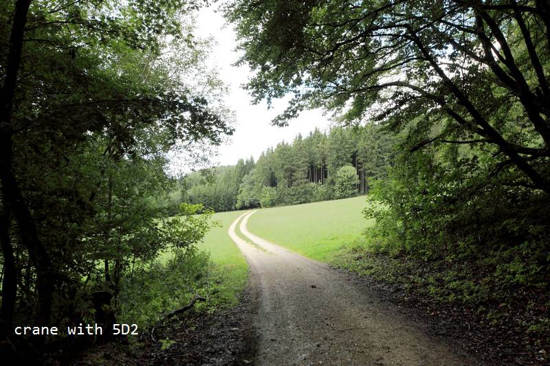 IMG_4419.JPG IMG_4419.JPG