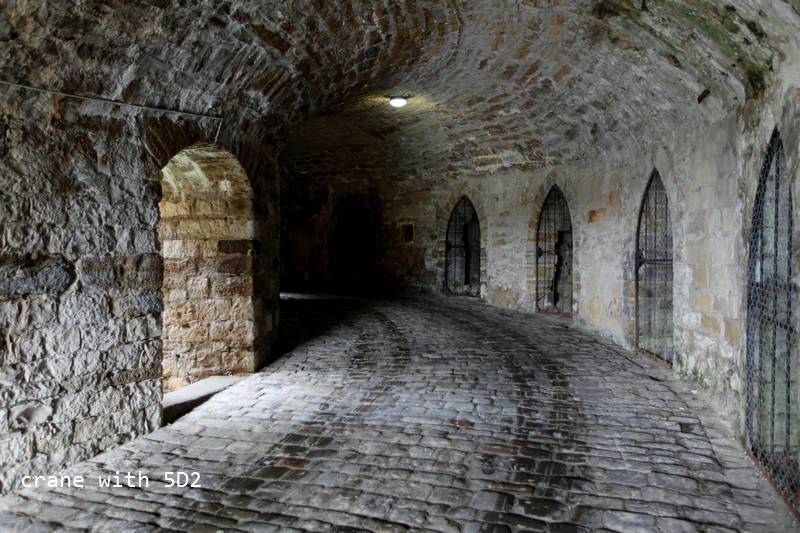 IMG_4299.JPG IMG_4299.JPG