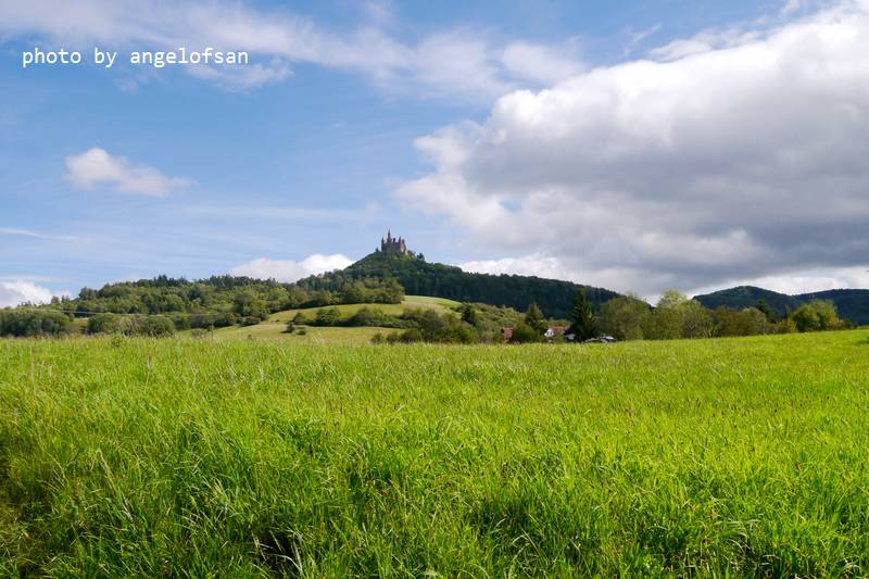 P1150969.JPG P1150969.JPG