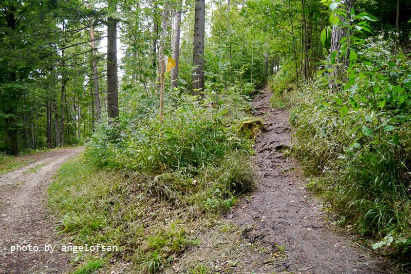 P1150990.JPG P1150990.JPG