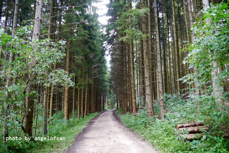 P1150984.JPG P1150984.JPG