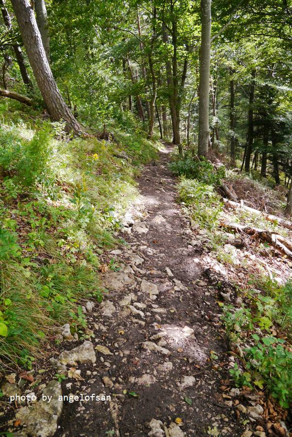 P1160022.JPG P1160022.JPG