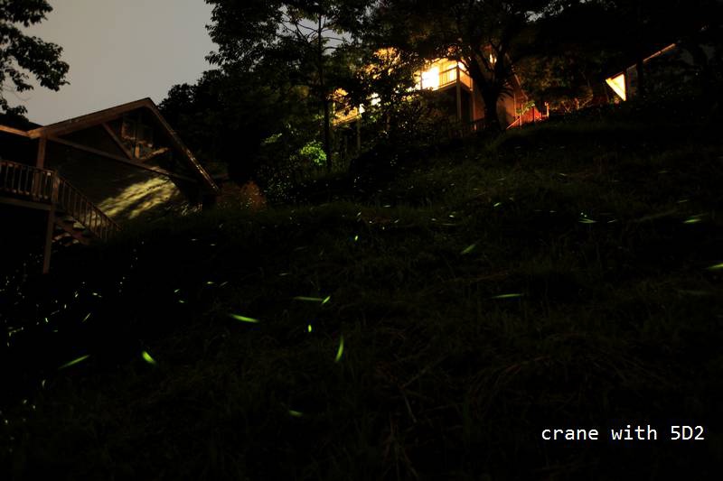 IMG_8893.JPG IMG_8893.JPG