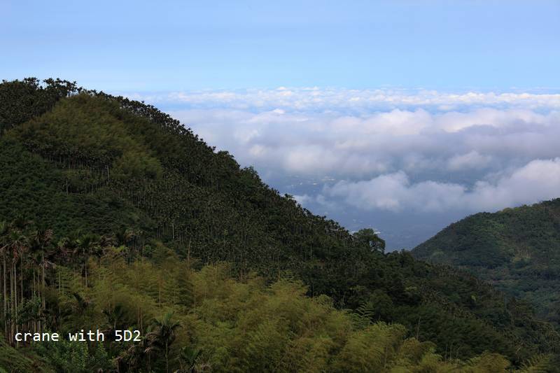 IMG_8941.JPG IMG_8941.JPG