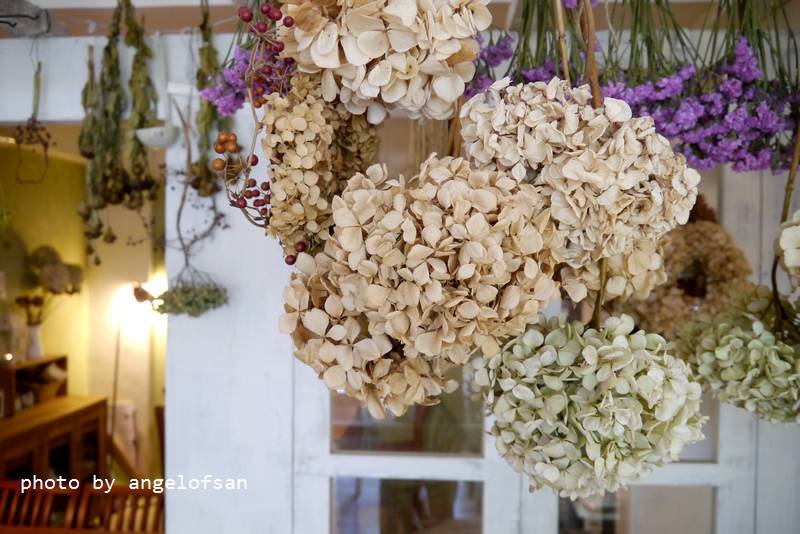 P1240361.JPG P1240361.JPG