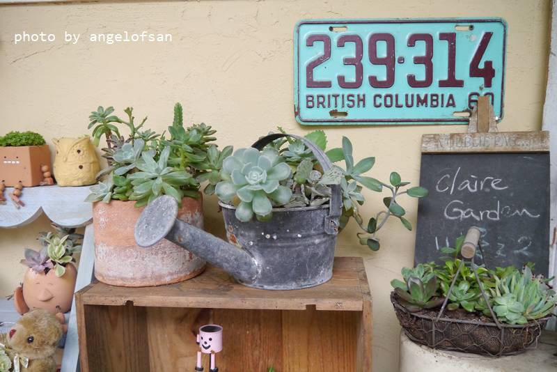 P1240404.JPG P1240404.JPG