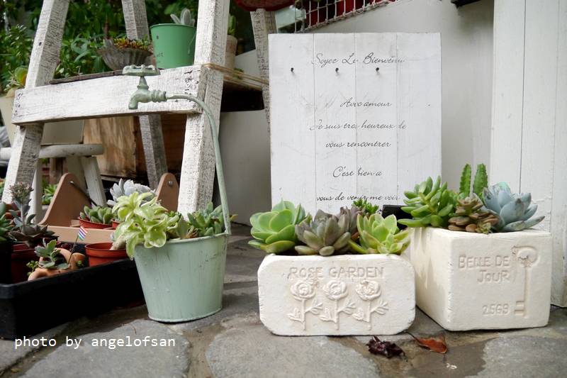 P1240415.JPG P1240415.JPG